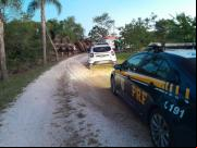 PRF atende acidente em Jaguari